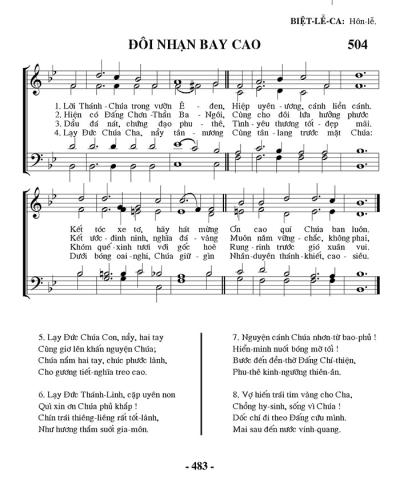 Đôi Nhạn Bay Cao