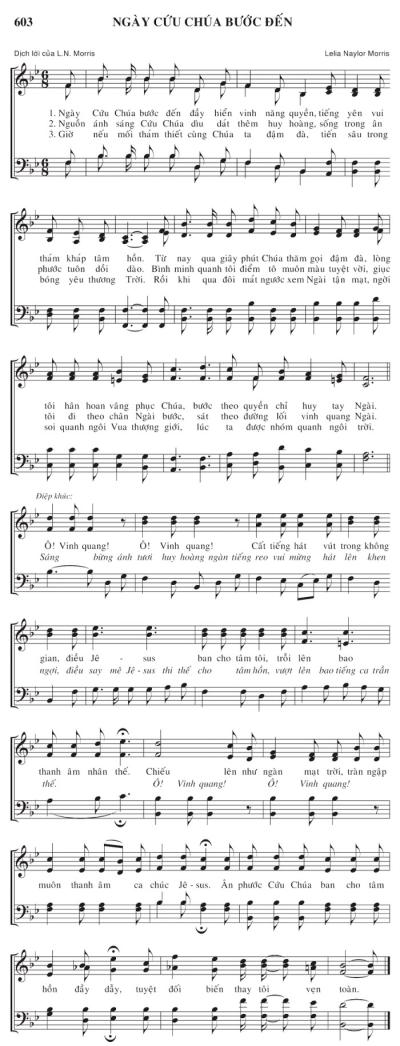 Ngày Cứu Chúa Bước Đến