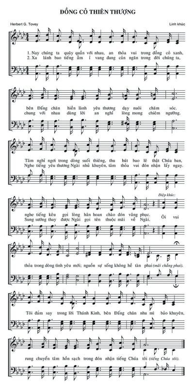 Đồng Cỏ Thiên Thượng