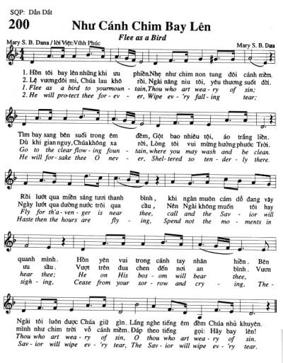 Như Cánh Chim Bay Lên