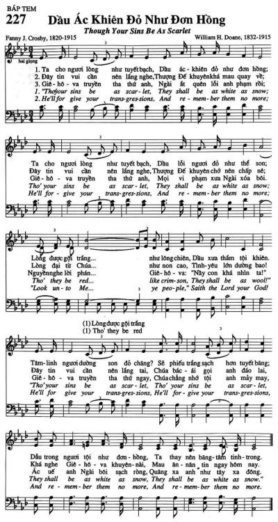 Dầu Ác Khiên Đỏ Như Đơn Hồng