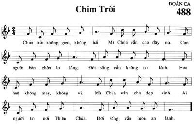 Chim Trời