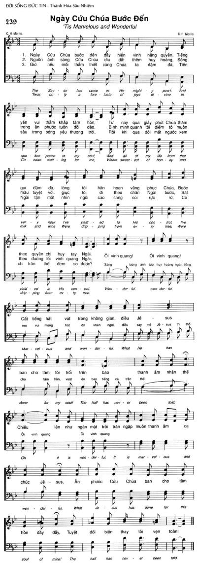 Ngày Cứu Chúa Bước Đến