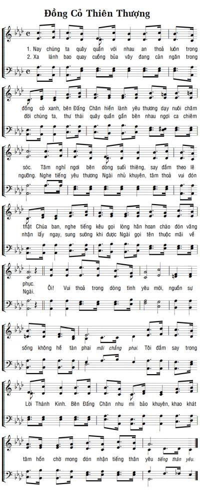 ĐỒNG CỎ THIÊN THƯỢNG